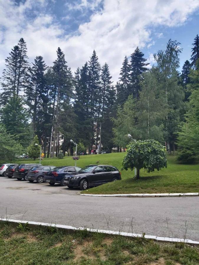 Premium Apartment In Borovets Gardens Complex Экстерьер фото