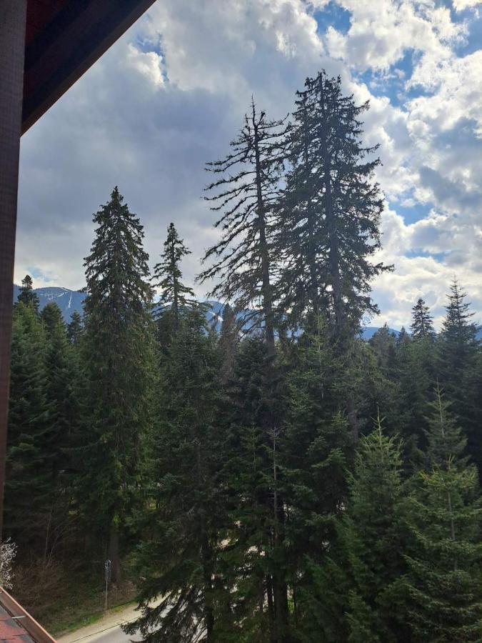 Premium Apartment In Borovets Gardens Complex Экстерьер фото